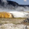 以'山有扶苏2020214'探讨的环保意识与自然保育行动：从生态系统视角来看我们的责任和挑战