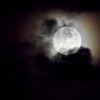 (深夜堡垒)探索夜晚中的堡垒之谜：细数生存游戏中的策略与挑战