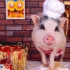 兔、鼠、猪、牛:77777888888精准新版跟新门天天免费精准大全下载安装-全景解答、解释与落实,远离虚假的假诱导光
