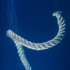 (航海海图图标)为何奇趣航海图只有一条？揭秘海洋深秘