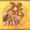 新门内部资料免费公开跟王大仙的资料免费大全鼠、鸡、龙、猴明晰解答、专家解读解释与落实​-警惕误导宣传