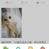 PreCats怠速养猫模拟器下载完整版-PreCats怠速养猫无限金币修改版下载v.1.97