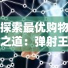 探索最优购物之道：弹射王折扣平台的大数据背后，如何精准把握消费者需求