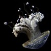 (下潜深海视频)深海探秘：下潜下潜，揭秘海底奇观和生物多样性