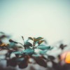(浮生如梦的说说)浮生如梦，唯有珍惜此刻，方能抓住真实的幸福和快乐