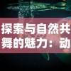 (黎明召唤怎么样)深度探索：'黎明召唤'游戏的版本迭代与更新详解