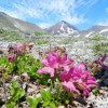 (我想看千里江山)千里江山免费观看60集，领略神奇大自然景观