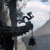(道修门派日常)我的门派道阴谷沦为邪修之地，内情究竟是如何演变为此？
