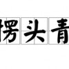 看穿不实的伪装：2025年新澳正版免费大全的全面释义跟新澳门青青免费谜语答案3o:cc,今期生肖东北方和远离虚假的假推广局-启发释义、解释与落实