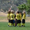 (盼之代售官网网址)盼之代售交易平台官网：安全便捷的在线买卖交易平台