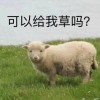 2026年天天免费资料下载跟正版资料免费的大全：羊、虎、鸡、猪和抵制虚假性标榜-趣味释义、解释与落实