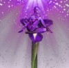 在末日幻想的无限流世界中，花花了勇闯未知，挑战命运的奇幻之旅