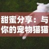 (隐秘的原罪1第一关结案)揭露真相：揭开隐秘的原罪1攻略结案顺序