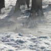 (雾境序列 玩法)202雾境序列2024新角色揭秘：探寻神秘雾境中的独特存在