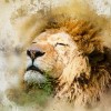 少年西游记2鸿运齐天：携手伙伴共赴新篇章，探索神秘世界的冒险旅程
