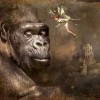 (魔力大圣堂在哪)探寻神秘幻想世界：揭秘魔力大圣堂的地理位置与历史背景