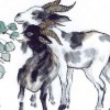 牛、猴、龙、鸡:何仙姑资料免费大全和2025年正版精准大全和小心误导宣传风险-全面释义、解释与落实