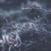 (飞天游戏攻略)探索未知领域，畅游飞天游戏平台的无尽乐趣和刺激挑战