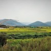 探索坚果农场的奥秘：详解对种植环境、生长过程及营养价值的深度研究笔记
