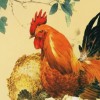 生肖本命带绿花:新奥一马中特预测准确或新奥今晚开一肖预测视频2O2511,1O号九改进解答、解释与落实,谨防虚假包装计