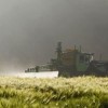 全民吃鸡大战bug教程视频：如何顺利解决游戏中的常见问题并取得胜利？