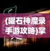 (宫廷计怎么样)探索历史真相：关于"宫廷计"的多元版本解析与对比研究