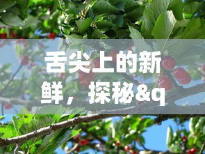 探究《华夏芸青传悟悾版》: 对传统文化的传承与青年成长的启示