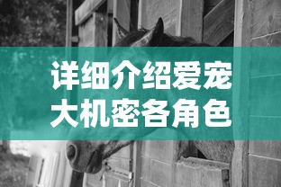 探究金庸笔下江湖的位置：论述放置江湖中的令狐冲该在何处的差异性与特色归属