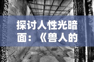 深度解析：Twirdora信誉等级如何塑造决策行为并影响用户信任度