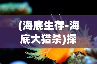 探讨天问online的现状：游戏是否还有存活服务器，玩家们还能否继续畅游其中？