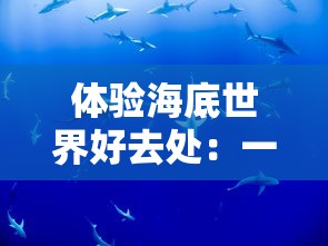 小小探险家歌曲的魅力之旅：深入探讨其如何赋予孩子求知欲和勇于探索世界的精神