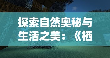 详细解析：艾尔多战记最强阵容搭配推荐，助你快速提升战力，打造无敌全能队伍