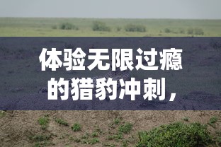 体验无限过瘾的猎豹冲刺，全新模拟猎豹无限金币版彻底改变游戏体验