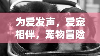 以珍视青春、勇敢面对的精神风貌为要点 —— 深度解析《我是大英雄》歌曲的深远意义和社会影响