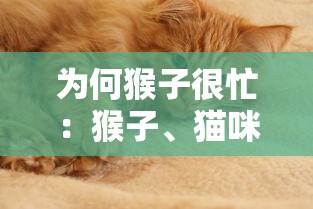 为何猴子很忙：猴子、猫咪与仓鼠的异同及其在动物行为研究中的重要意义