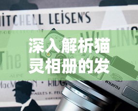 详细剖析：《仙境传说ro初心大冒险》宠物养成、属性强化及战力提升全面攻略解析