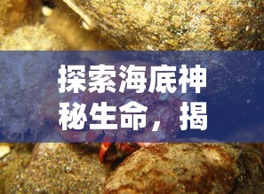 探索海底神秘生命，揭示深海蛰伏之惊蛰：借助科技手段探究海洋生物的繁殖和生存策略