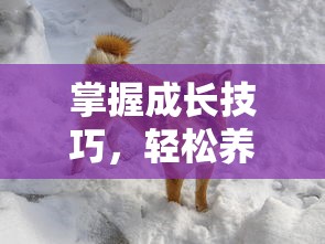 掌握成长技巧，轻松养成你的宠物：详细解读《萌鱼泡泡变异鱼攻略》中的合成与进化秘籍