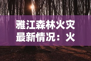 探索龙与世界的尽头影卫技能搭配：提升战斗力和生存能力的终极攻略