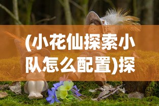 山东紧急行动，划定2750个精确管控单元以应对疫情挑战，确保社区防控无死角