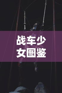 (无尽大冒险满级多少级)探索无尽大冒险的极限：玩家能达到的最高等级究竟是多少？