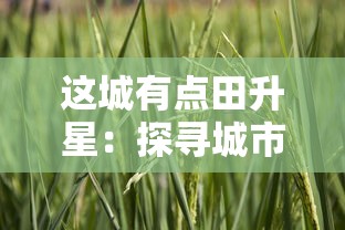 这城有点田升星：探寻城市农业发展新模式，打造可持续绿色生态城市