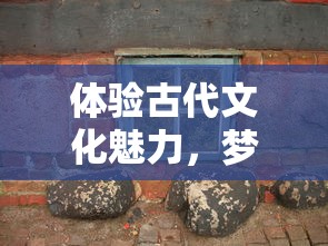 (繁花似锦礼盒多少钱)探索繁花似锦内购版：畅享无限游戏乐趣与华丽视觉盛宴