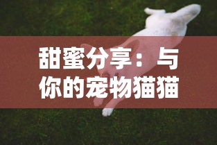 (隐秘的原罪1第一关结案)揭露真相：揭开隐秘的原罪1攻略结案顺序