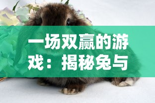 (伊苏8全流程攻略)探索神秘海域与英雄冒险，全面解析《伊苏8手游》的魅力与玩法