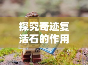 探究奇迹复活石的作用：如何在冒险游戏中有效利用奇迹复活石实现角色重生