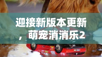 迎接新版本更新,萌宠消消乐22带你探索未知世界,体验全新娱乐模式 迎接新版本更新,萌宠消消乐22带你探索未知世界,体验全新娱乐模式