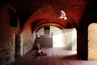 探寻真实与幻象交错之地:2018年死亡之夜,人性与生死哲理的深度解析 探寻真实与幻象交错之地:2018年死亡之夜,人性与生死哲理的深度解析