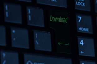 2021年澳门精准免费资料金牛|精细解答解释落实_视觉版.4.49