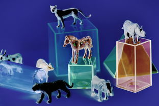 (来古弥新角色有哪些)来古弥新人物全攻略:详细图鉴与角色背景一网打尽 (来古弥新角色有哪些)来古弥新人物全攻略:详细图鉴与角色背景一网打尽